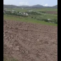 زمین فروشی جنب  باغ متری برای باغ