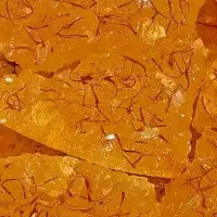 نبات زعفرانی مستقیم از تولیدکننده