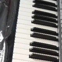 pa3xle|گیتار، بیس، امپلیفایر|شیراز, چوگیاه‎|دیوار