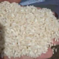 واردات برنج هندی و پاکستانی