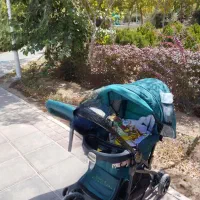 کالسکه روروئک دلیجان
