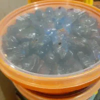 خرما|خوردنی و آشامیدنی|بندر ماهشهر, |دیوار