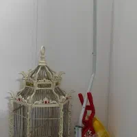 قفس سلطنتی