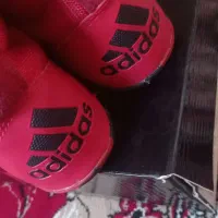 کفش ورزشی