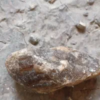 سنک