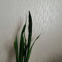 طرح کاغذدیواری نقاشی ساختمان