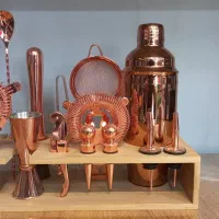 ست بارسرد بارتندر باریستا شیکر