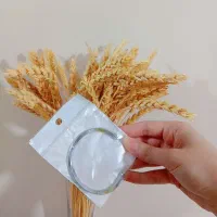بنگل