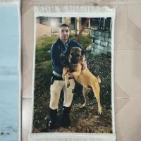 تابلو فرش پیوسته