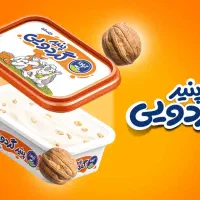 بازاریاب حرفه ای
