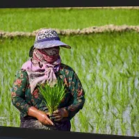 نشاگروتیم کن وپخش کن زن ومرد