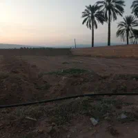 زمین