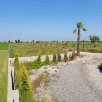 زمین-هزارمتری-باغی-سنددار-اقساطی-بدون-بهره