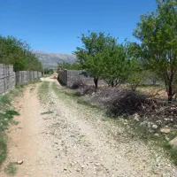 فروش-باغ-جهت