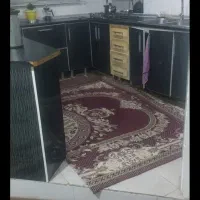 همخونه خانم
