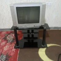 تلویزیون