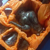 سرویس صبحانه خوری عتیقه
