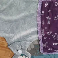 این دوتا پتو قیمت‌ ۵۵۰