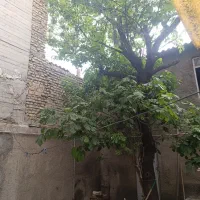 ویلایی-سند-تک-برگ