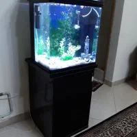 اکواریوم شیشه خم
