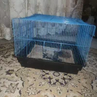 قفس پرندگان