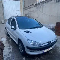 ۲۰۶ پاناروما۱۴۰۱ بی رنگ و سالم