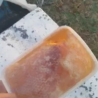 عسل نمدار