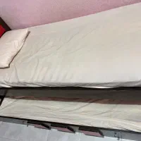 تخت مهمان‌دار + کتابخانه