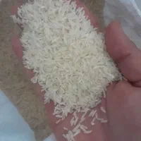 برنج هاشمی نشا