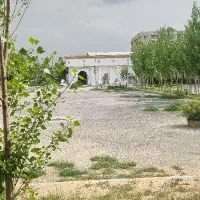 مهماندار وسرپرست