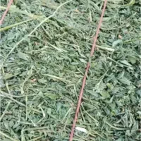 پرس یونجه