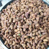 توت خشک
