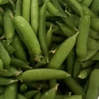 نخود سبز