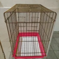 قفس پرنده
