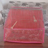 قفس پرنده