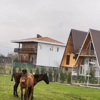 فقط برا خریداران واقعی