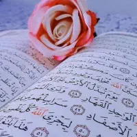 سرکتاب با نازل ترین قیمت انجام میشد