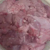 خشگوشت وشیرمست