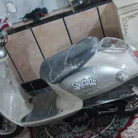 پاکشتی وینو  درحدصفررنگ فابریک
