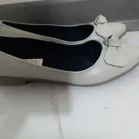 کفش مجلسی ،اسپرت ،مجلسی و زمستانی
