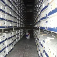 جوجه مرغ بومی محلی گلپایگان یک روزه و گوشتی یکروزه