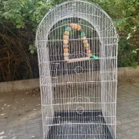 قفس پرنده