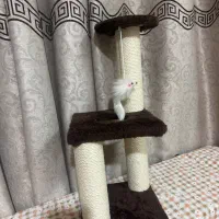 اسکرجر پت