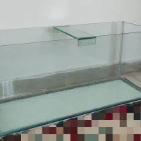 آکواریوم ماهی