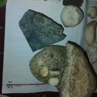 سنگ معدنی الماس راف