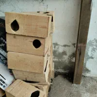 قفس چوبی برای پرنده