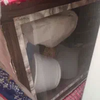 اکواریوم