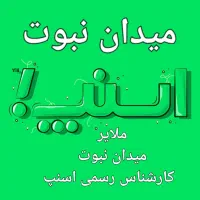 ثبت‌نا م ر ا یگا ن را ننده ا سنپ،میدان نبوت،کار