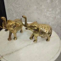 فیل دکوری