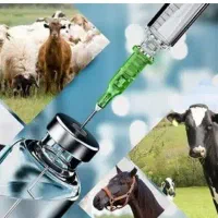 مدیرفروش داروهای دامپزشکی